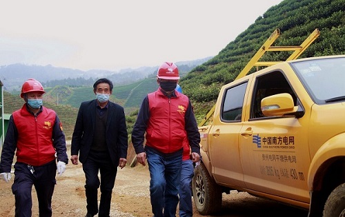 平塘供電局：“加減法”同構服務，護航“貴州春茶第一壺”