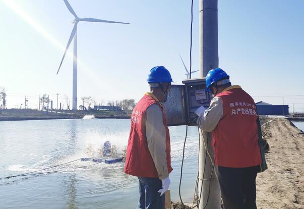 國網(wǎng)射陽供電:用心“護航”沿海養(yǎng)殖業(yè)發(fā)展