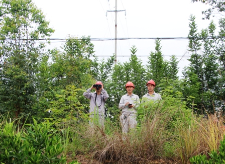 國(guó)網(wǎng)江永縣供電公司:負(fù)責(zé)人帶隊(duì)巡線(xiàn)，精施策護(hù)網(wǎng)保電