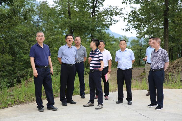 中國(guó)能建總經(jīng)理、黨委副書(shū)記孫洪水一行赴陜西鎮(zhèn)巴縣調(diào)研定點(diǎn)扶貧工作