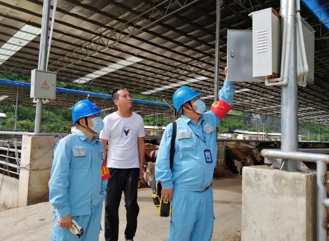 廣西寧明供電公司優(yōu)質(zhì)電力助力養(yǎng)殖事業(yè)越來越“?！? width=