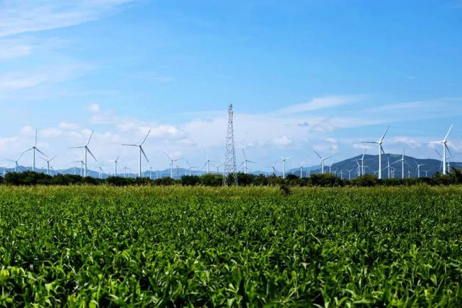 收購(gòu)墨西哥818MW光伏電站，國(guó)家電投境外光伏電站裝機(jī)超6GW