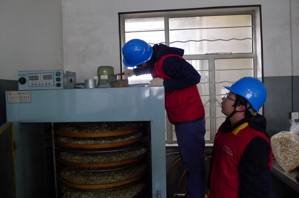 國(guó)網(wǎng)寧?？h供電公司：電力紅馬甲服務(wù)鄉(xiāng)村企業(yè) ，讓黃精變“黃金”