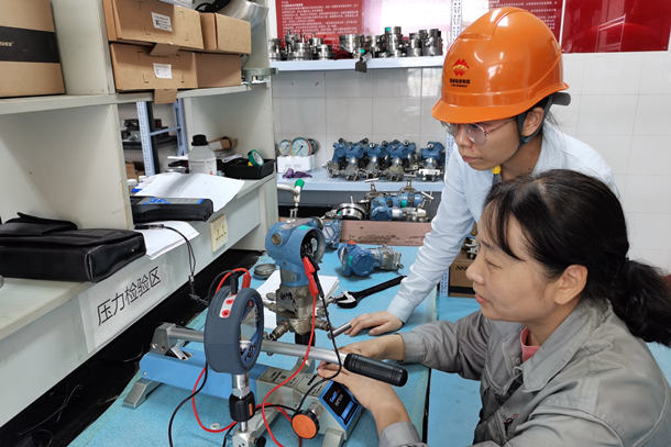 國能(泉州)熱電有限公司精密核查確保儀表零誤差