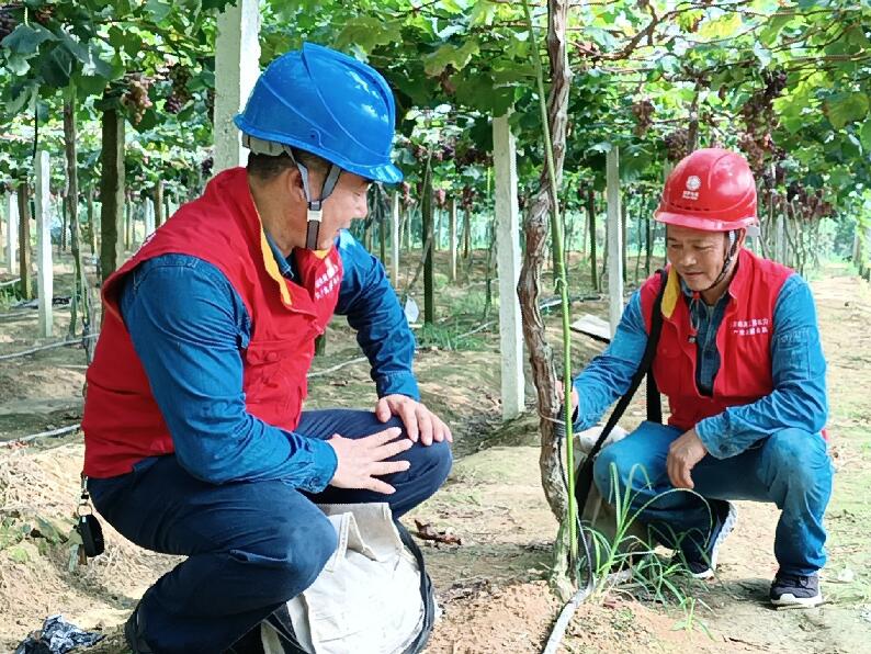 國網(wǎng)靖安縣供電公司: 電“靚”果甜樂農(nóng)家