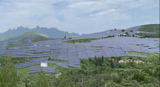 少長一棵草，多發(fā)一度電，助力碳中和