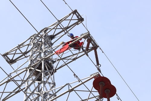 國網(wǎng)壽光供電:加裝防鳥刺 構(gòu)筑“平安網(wǎng)”