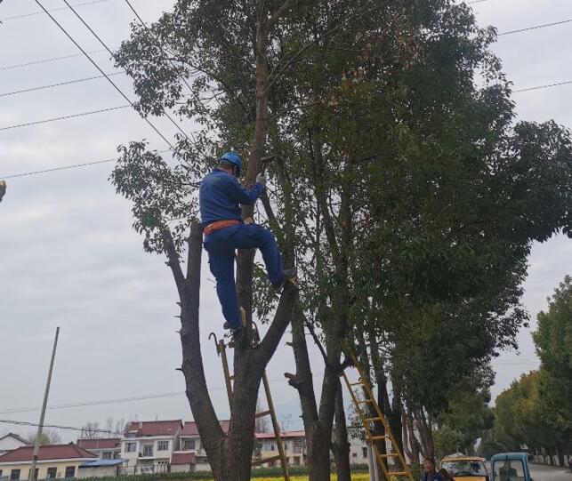 國網(wǎng)城固縣供電公司積極開展春季樹障清理工作，打通線路安全通道  　　中國電力網(wǎng)訊  陽春三月，草長鶯飛，又到了樹竹快速生長的季節(jié)，茂密的樹木包裹10千伏及0.4千伏導線，“線樹”矛盾愈發(fā)嚴重，此時也正