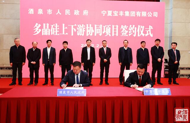 寶豐集團(tuán)擬在寧夏建設(shè)35萬(wàn)噸工業(yè)硅、30萬(wàn)噸多晶硅、50GW拉晶切片、30GW電池組件