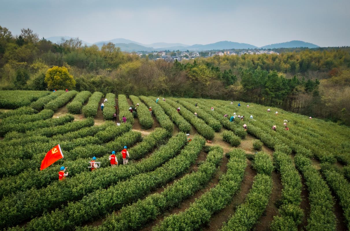 國網(wǎng)高淳區(qū)供電公司:編制“24節(jié)氣”工作法 賦能鄉(xiāng)村振興