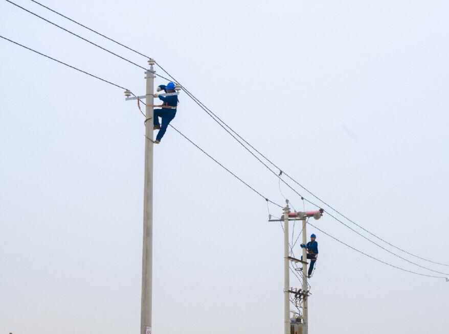 阿拉善供電公司：電網(wǎng)健康“體檢”，從登桿開始