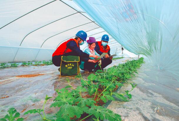 上門服務，瓜甜心更甜