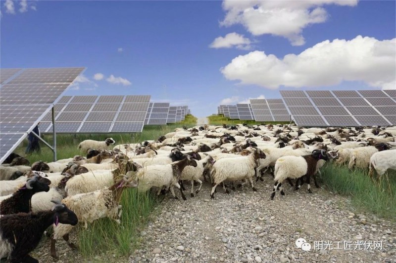 面積接近一個新加坡！青海塔拉灘光伏電站照亮“陽光之路”