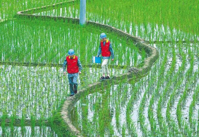 國家電網公司：全力以赴做好抗疫保供電，持續(xù)優(yōu)化電力營商環(huán)境