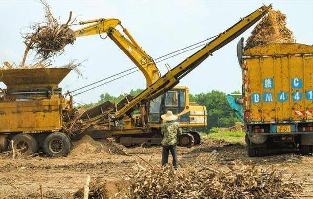 海南省?？诙嗯e措推進秸稈等農(nóng)林廢棄物綜合利用