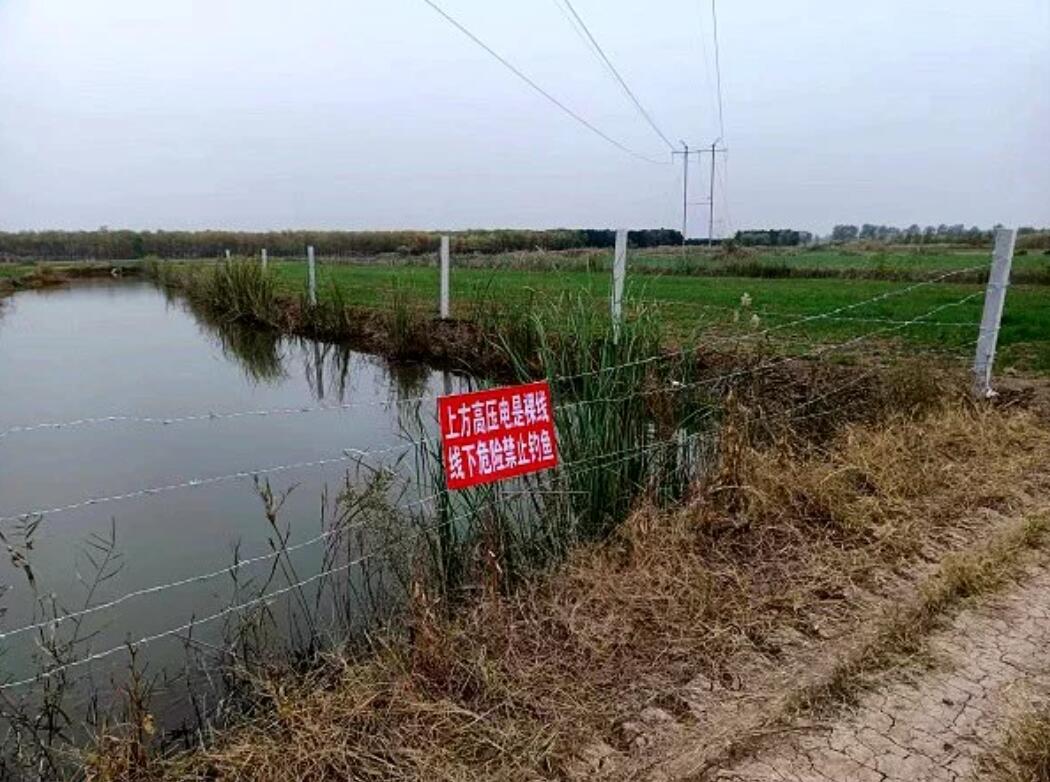 國(guó)網(wǎng)濟(jì)寧供電公司治理垂釣隱患，保電網(wǎng)安全運(yùn)行