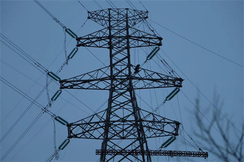 伊春供電公司:強化現(xiàn)場安全管控 高效推進工程建設(shè)