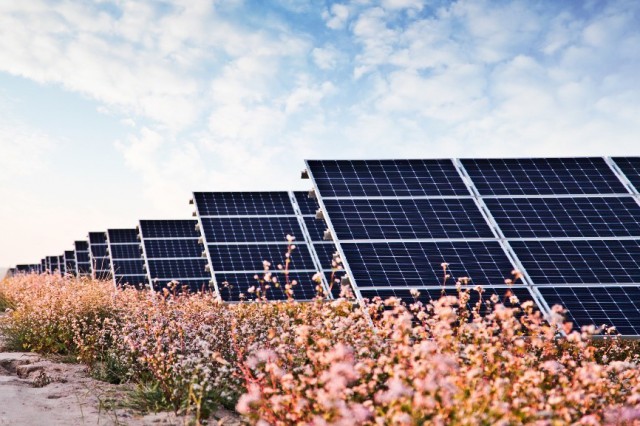 華能“嘗鮮”，攜隆基綠能打造高性價(jià)比光伏電站