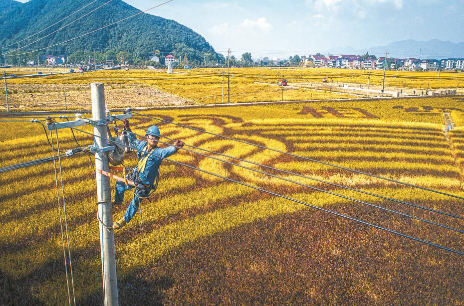 杭州富陽(yáng)區(qū)供電公司改造升級(jí)農(nóng)網(wǎng)，服務(wù)農(nóng)業(yè)生產(chǎn)電氣化
