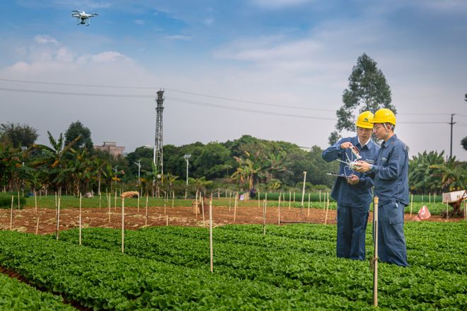 東莞供電局不誤農(nóng)時不負春，“零距離”服務春耕