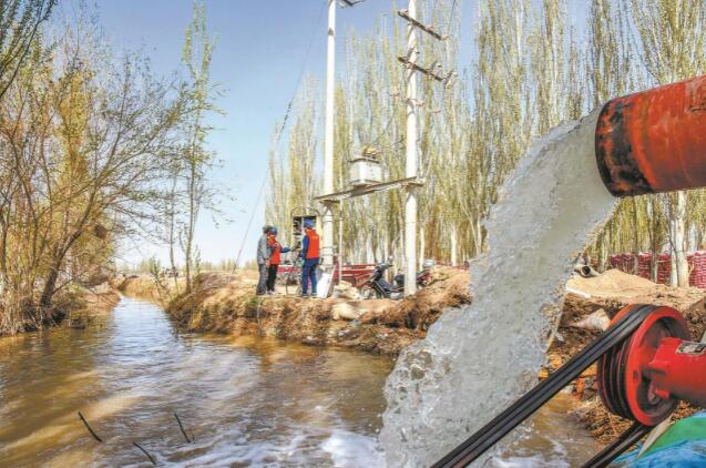 新疆和碩:春來(lái)麥返青 春灌動(dòng)力足