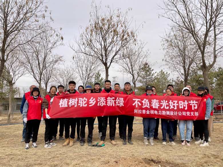 阿拉善金圳電力設(shè)計(jì)公司：植樹駝鄉(xiāng)添新綠 不負(fù)春光好時(shí)節(jié)