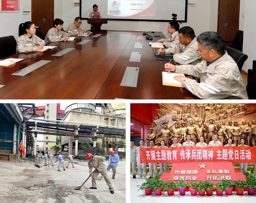 大唐環(huán)境特許經營分公司“多彩”主題黨日豐富主題教育形式