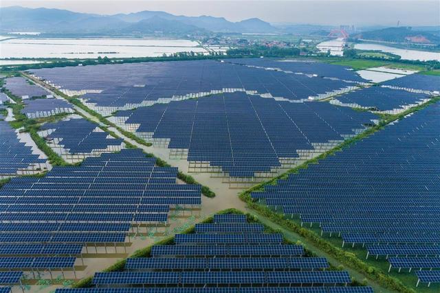 水上發(fā)電，水下養(yǎng)魚!黃石“漁光互補”綠色興農