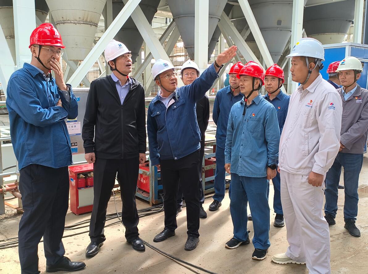 華能甘肅公司黨委書(shū)記、董事長(zhǎng)張東輝到正寧百萬(wàn)項(xiàng)目檢查指導(dǎo)