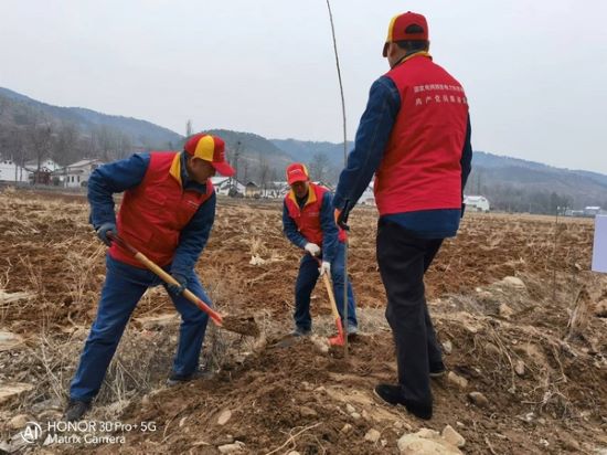 國(guó)網(wǎng)洛南縣公司“紅馬甲”義務(wù)植樹 為康養(yǎng)洛南添新綠