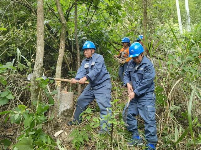 貴州望謨供電局通道清理開(kāi)啟電力保障“特別行動(dòng)”