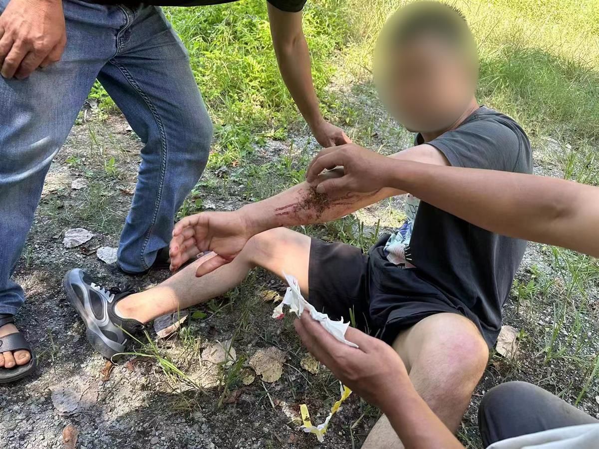 男子私設電網(wǎng)30余米，沒捕獲獵物卻電傷路人被刑拘