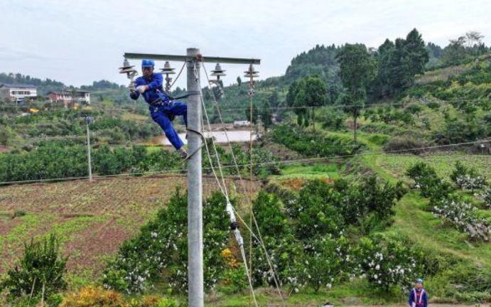 四川眉山升級改造電網(wǎng)助力柑橘產(chǎn)業(yè)結“致富果”