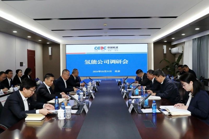 中國能建黨委副書記、總經(jīng)理倪真到氫能公司調(diào)研