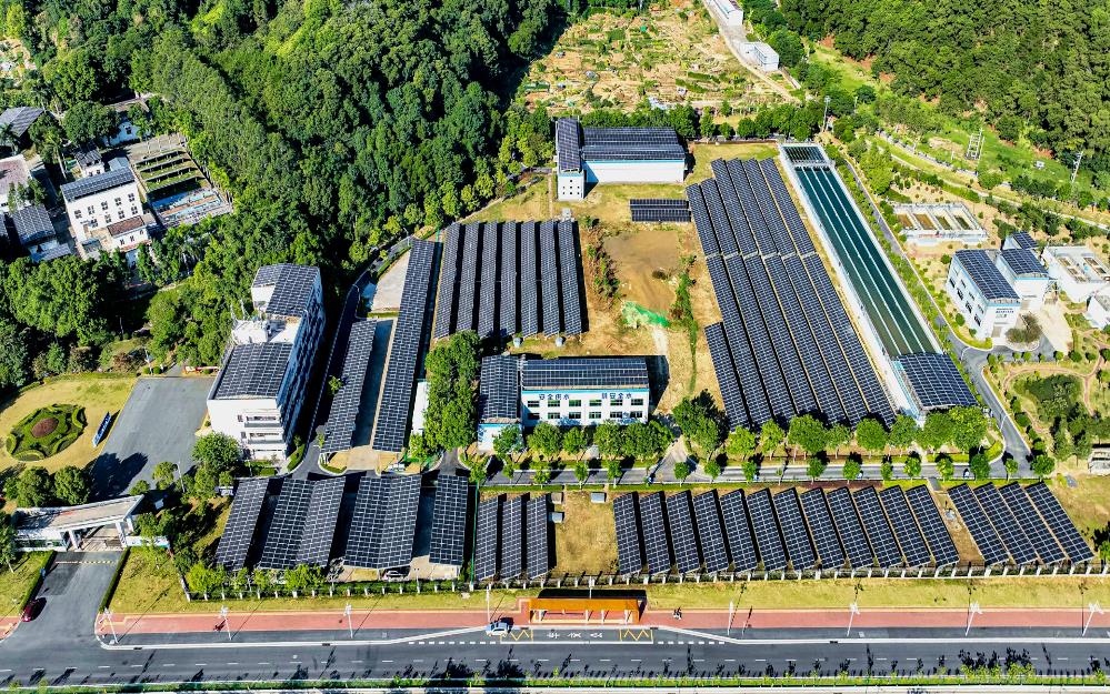 追“新”逐“綠” 粵?？毓杉瘓F走實走好綠色低碳轉(zhuǎn)型高質(zhì)量發(fā)展道路