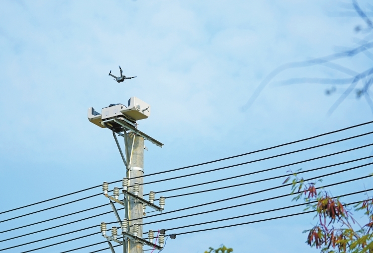 廣西解鎖低空經(jīng)濟應用新場景
