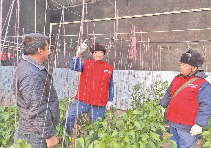 青海循化撒拉族自治縣大棚變智能，果蔬產(chǎn)量增