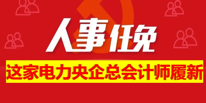 這家電力央企總會計師履新